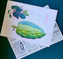 Load image into Gallery viewer, Two posters laid on top of each other depicting the structure of a hop leaf and an infographic about north pacific US hops. 
